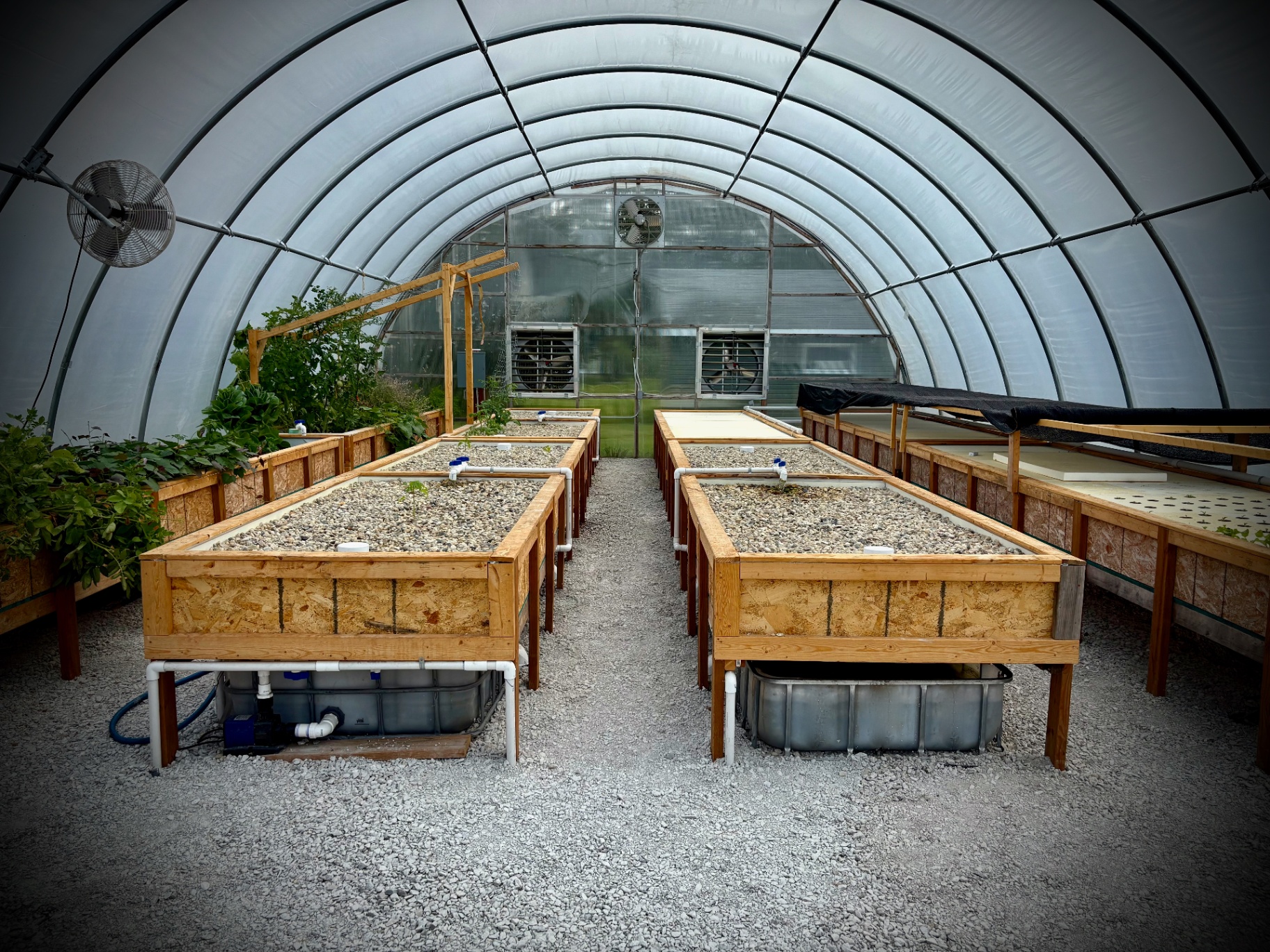 Sol'Mar Aquaponics - Fresh, Local, Year-Round Harvest
